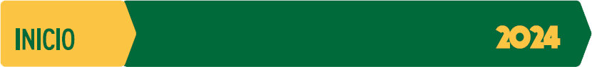 Timeline Inicio 2024